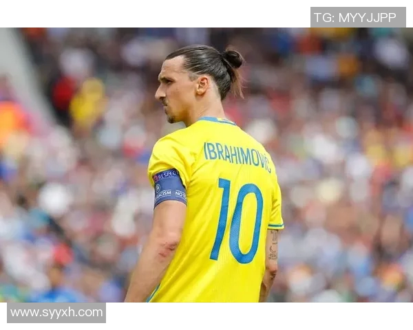 瑞典国家队足球明星的辉煌历程与未来展望