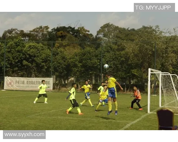 林子皓足球之路：从青训小将到职业联赛的成长历程与梦想追逐